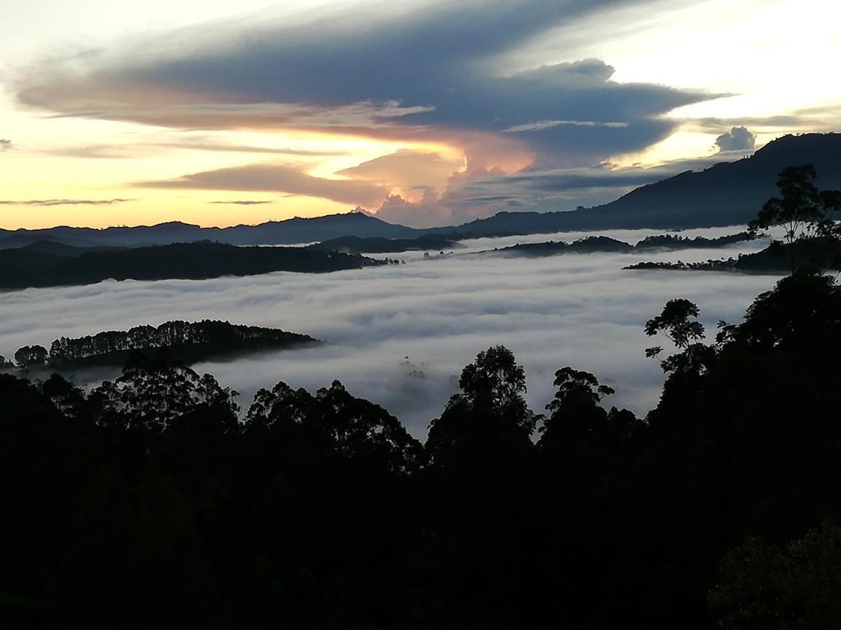 Ohiya Mount Plaza Appartement Boralanda Buitenkant foto